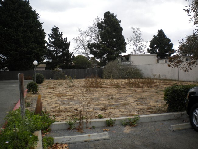Building Photo - Sand Dollar Garden Apartments