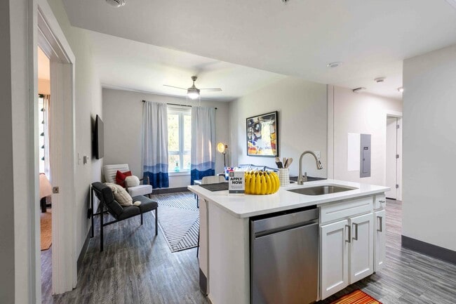 Valentine-Commons-Off-Campus-Apartments-Just-Steps-From-NC-State-University-Platinum-Floor-Plans-Plank-Flooring-Throughout-Open-Floor-Plan-Kitchen-and-Living-Room - Valentine Commons