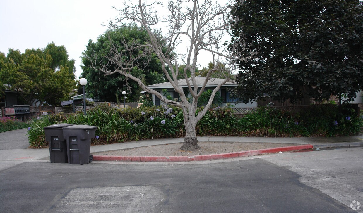 161 Evandale Ave, Mountain View, CA 94043 Apartments in Mountain View, CA