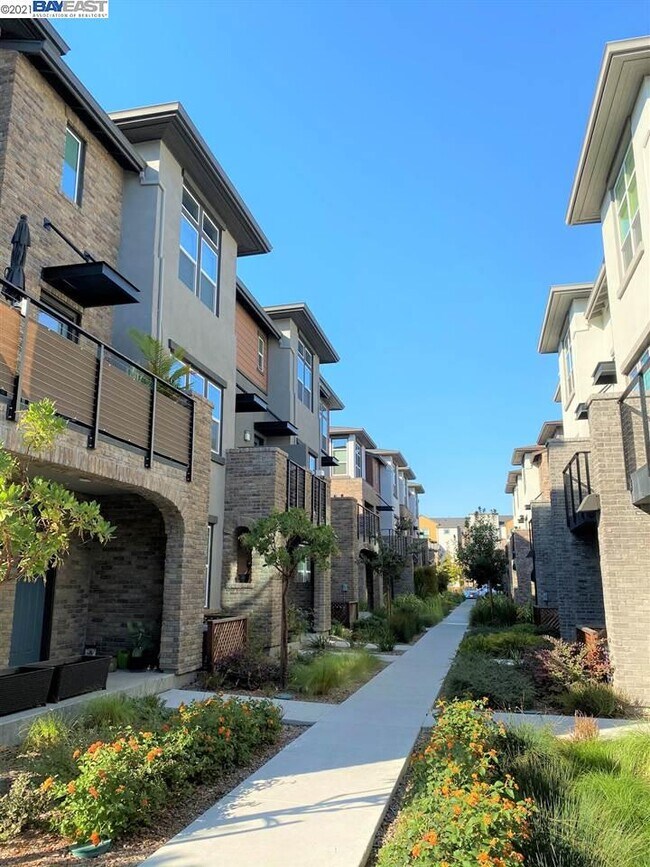 Building Photo - 554 Santa Maria Terrace