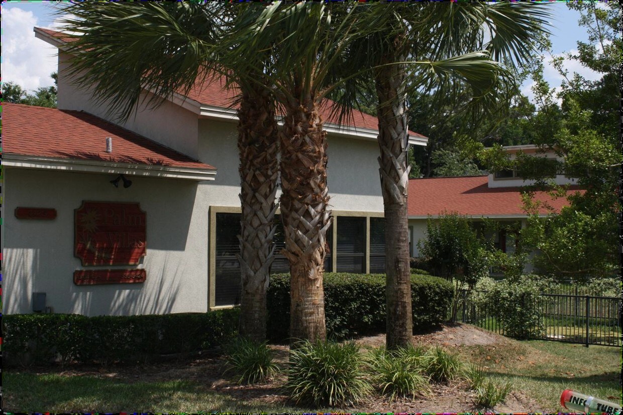 Primary Photo - Palm Villas