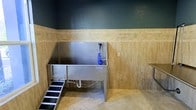 This single-floor space is purpose-built as a pet grooming and washing facility, offering a clean, functional environment designed with both utility and durability in mind. The centerpiece of the room is a large stainless steel pet wash tub, equipped with a coiled blue hose and sprayer attachment for easy rinsing. A non-slip entry ramp provides safe and comfortable access for pets of varying sizes, making the bathing process straightforward for both animals and their owners. The walls feature a two-tone finish, with warm beige travertine-style tile extending from floor to mid-wall, topped by a richly textured deep teal upper wall that adds a touch of refined character to the otherwise utilitarian space. The flooring continues the travertine aesthetic, providing a slip-resistant and easy-to-clean surface well suited to a wet environment. A decorative tile border runs along the transition between the lower tile and upper wall, adding a subtle design detail. Additional countertop space is visible along one wall, offering a convenient area for grooming supplies and accessories. Overall, the space is thoughtfully designed to balance practicality with a polished finish, making it an ideal dedicated grooming station.