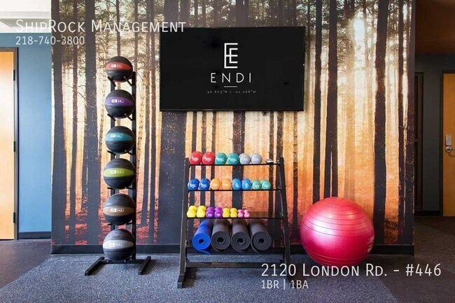 Building Photo - Endi Apartments #446