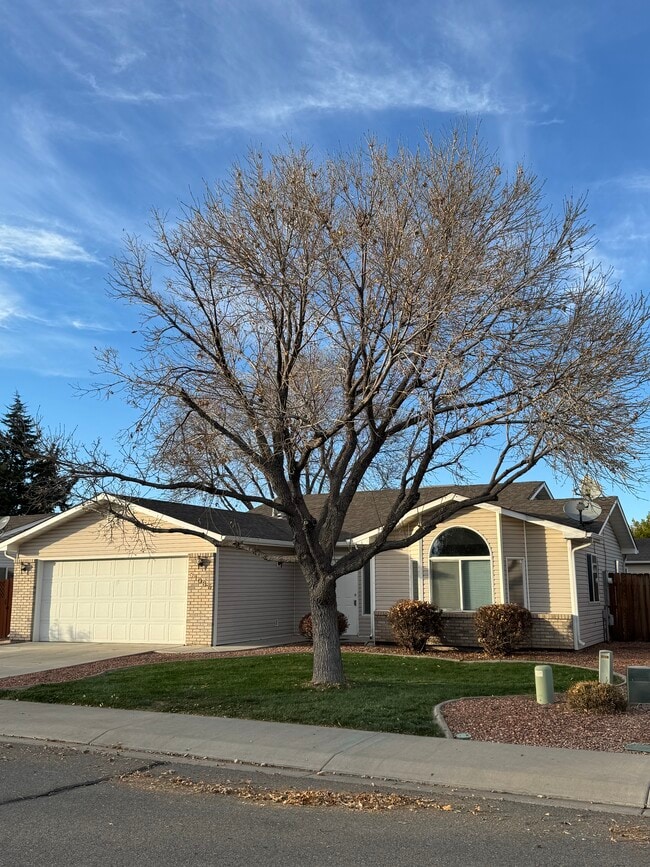 Building Photo - 3108 1/2 Palomino Way