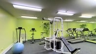 This single-floor fitness room offers a practical and energizing workout environment. The space is defined by its bold lime-green walls, which contribute a vibrant, motivating atmosphere. Overhead, multiple fluorescent light fixtures provide consistent, bright illumination throughout the room, ensuring excellent visibility for all activities.

The room is equipped with a comprehensive selection of exercise equipment. A multi-station cable machine serves as the centerpiece, offering a wide range of strength training exercises. Nearby, a weight bench with stacked plates provides additional resistance training options. Cardio equipment includes at least two treadmills positioned along one wall, as well as an upright stationary bike and a recumbent bike, catering to varied fitness preferences.

Decorative potted tropical plants add a touch of greenery, softening the utilitarian feel of the space. A stability ball is also visible, suggesting space for functional fitness exercises. The flooring features low-pile carpet, providing a practical surface underfoot. The overall layout is efficient, making good use of the available space while keeping equipment accessible and organized.
