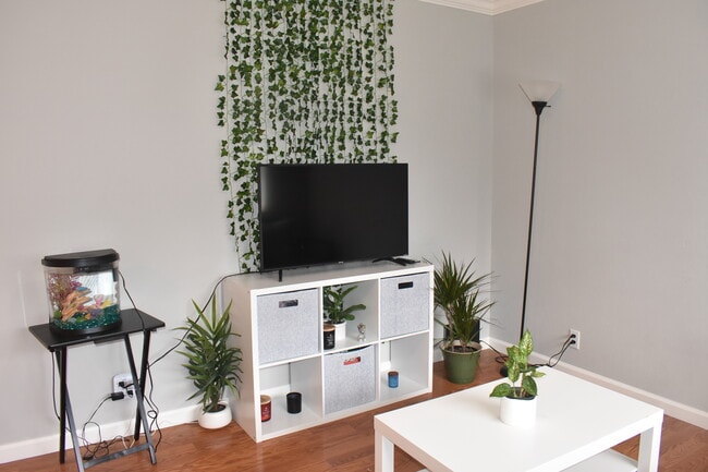 Walls freshly painted - 620 S 9th St