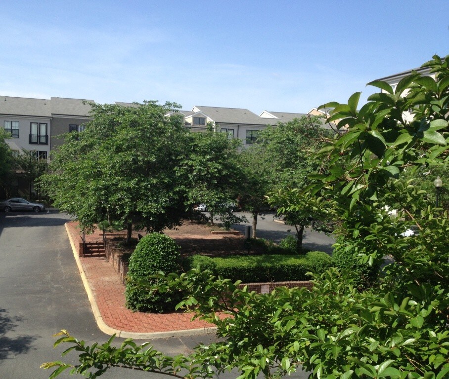 75572B Walker Square, Charlottesville, VA 22903 House for Rent in