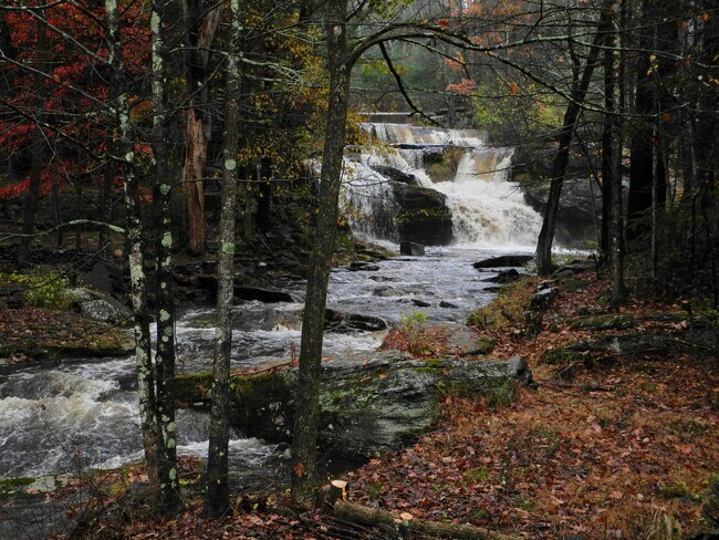Your Backyard... - 1957 County Road 3