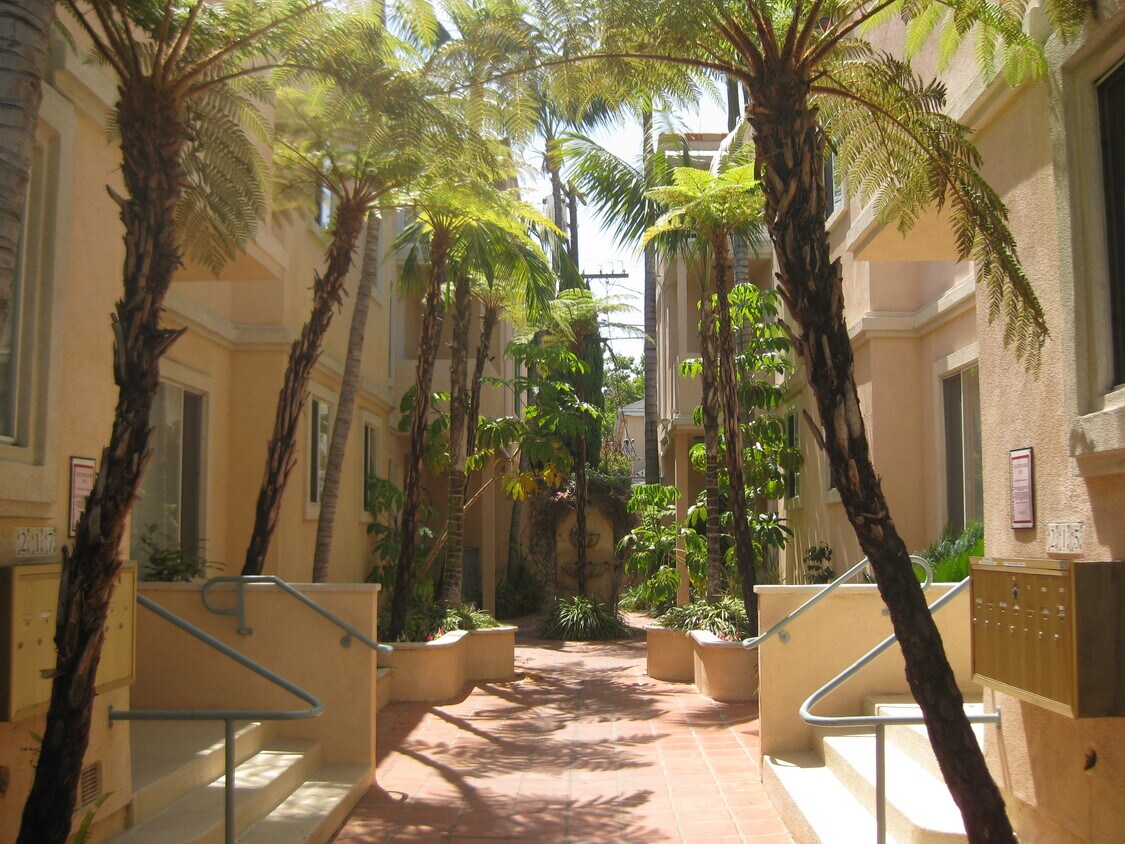 Primary Photo - 217 S Doheny Dr