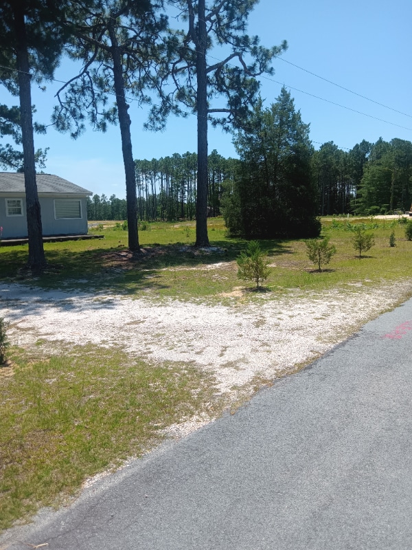 Building Photo - 255 Rowe Ave