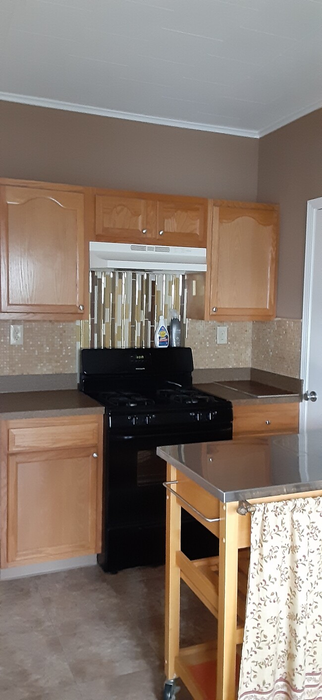 Large kitchen with pantry - 715 N McBride St