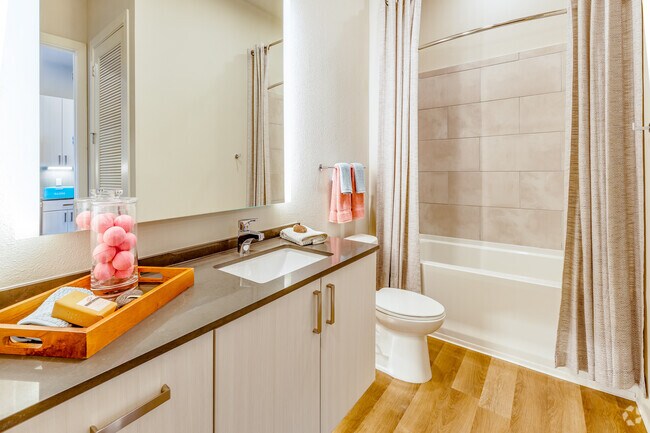 Studio, 1 Bath - 561 SF - 1701 Central Apartments