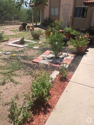 Building Photo - 433 Avenida Garza