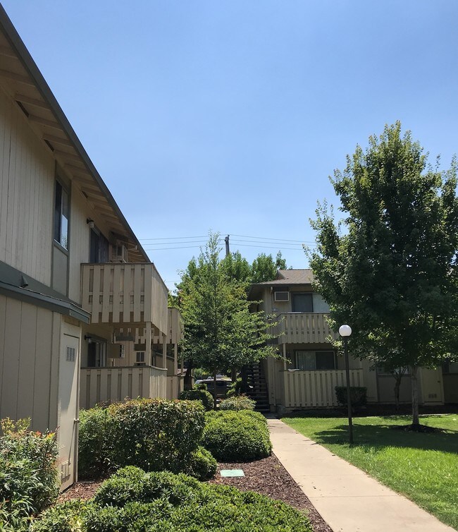 Oakview Apartments Apartments Concord, CA