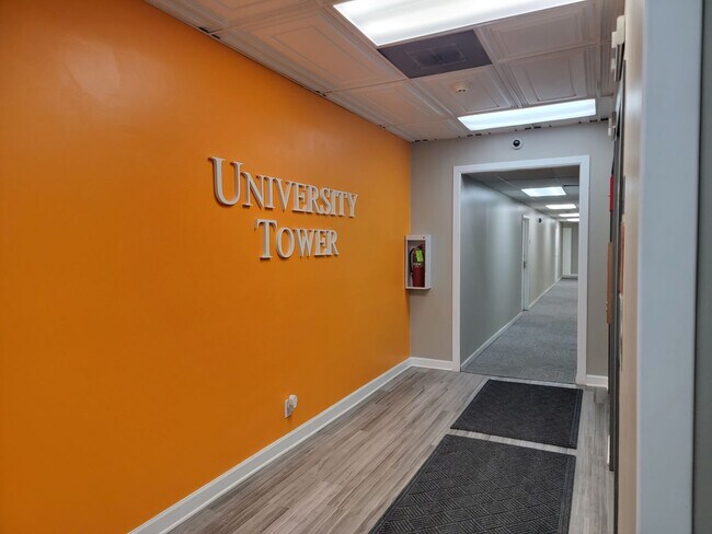 Foto del edificio - Knoxville 37916 - Newly remodeled 336 sq f...