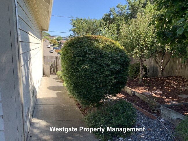 Foto del edificio - 1160 Birch Dr