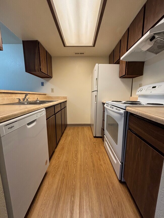 Foto del edificio - 2070 Bechelli Ln