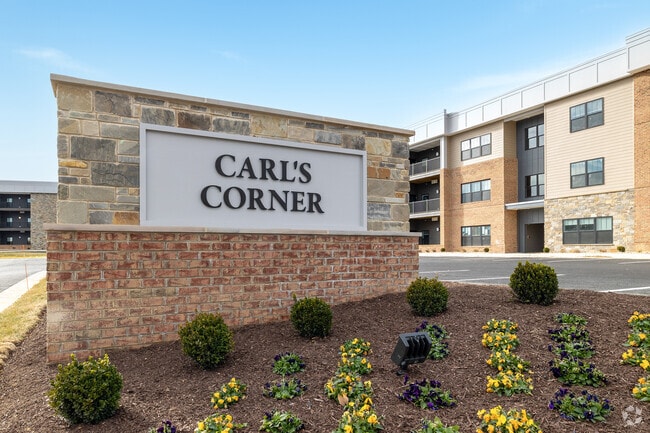 Other - CARLS CORNER RESIDENTIAL