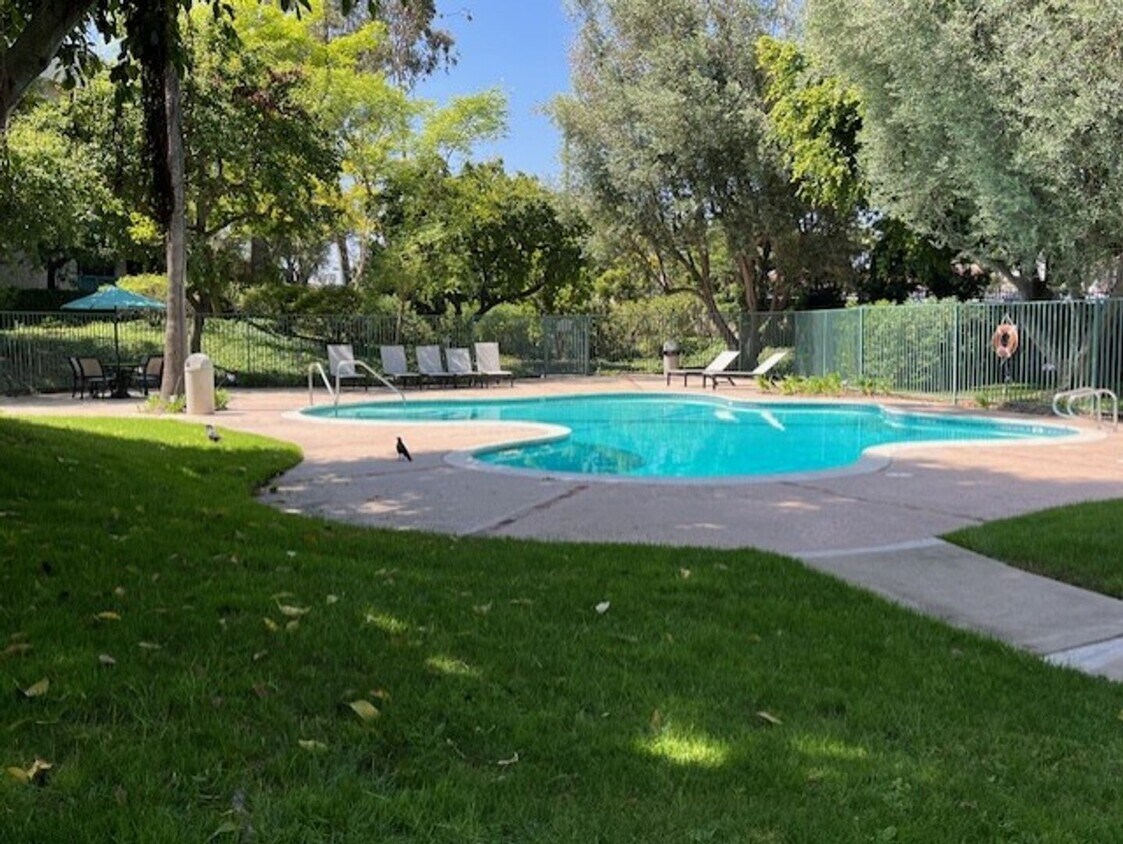 Foto principal - Top floor, 1 Bedroom, 1 Bath Condo in Ston...