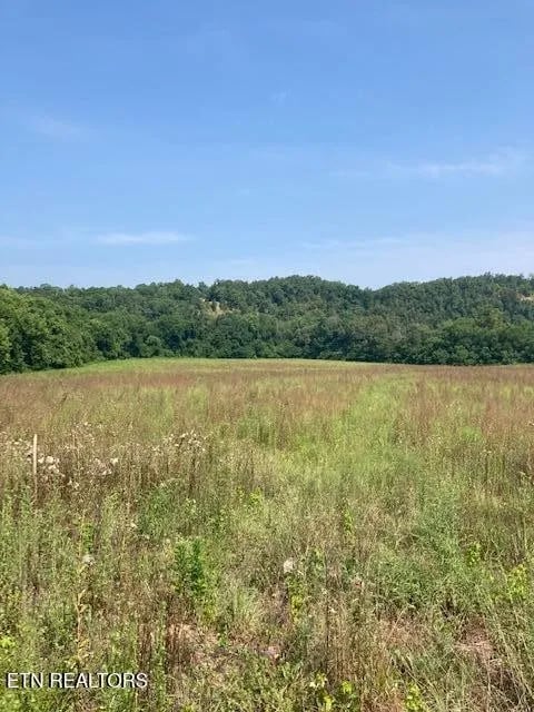 Foto del edificio - 559 Snowflower Cir