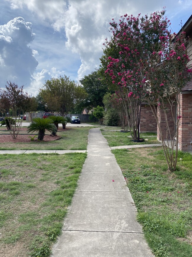 Front walkway - 10661 Starcrest Dr