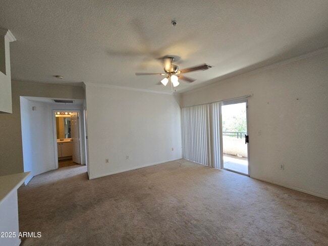 Building Photo - 5345 E Van Buren St