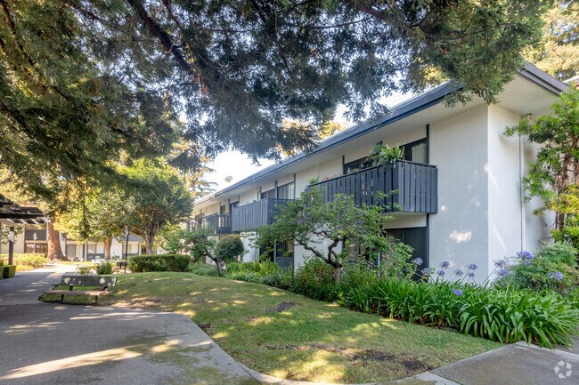 Edificio - The Laurel at Mountain View