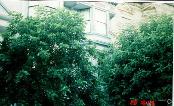 Primary Photo - 156 Noe St