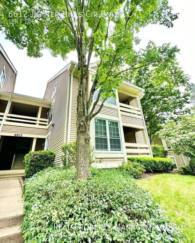 6612 Jupiter Hills Cir Unit C, Alexandria, VA 22312 Condo for Rent in
