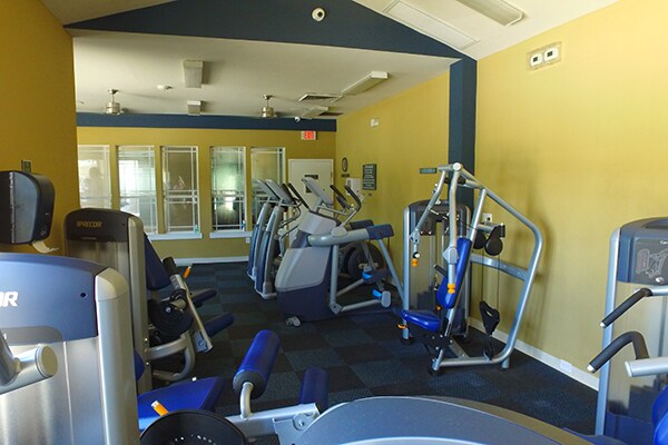 Foto del edificio - 8149 Stone Leaf Ln