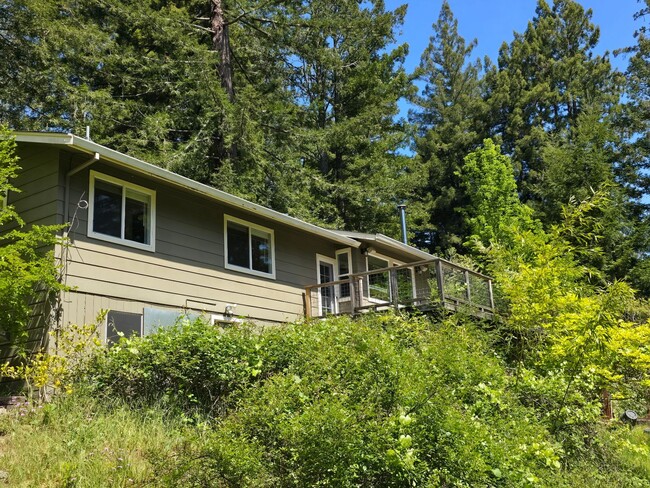 Foto del edificio - Large and stunning home in rural Sebastopol!