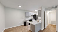 Located at 910 Shellbrook Ct in Raleigh, NC, this single-floor, one-bedroom, one-bathroom residence offers a thoughtfully designed layout that maximizes functionality and comfort. The open-concept living, dining, and kitchen area serves as the heart of the home, featuring warm hardwood-style flooring and a ceiling fan that adds both style and practicality. French doors in the living area invite natural light and provide outdoor access, enhancing the bright and airy feel of the space. The kitchen is a standout feature, showcasing modern grey shaker-style cabinetry, a sleek marble-look countertop, a subway tile backsplash, and a peninsula that doubles as a casual dining area. Black appliances, including a refrigerator, dishwasher, range, and microwave, complete the well-equipped kitchen. The spacious bedroom is finished with plush carpeting, a ceiling fan, and a window offering natural views, while a dedicated walk-in closet provides ample storage. The bathroom includes a full tub-shower combination with classic white tile surround. A utility room and hallway round out the practical layout of this efficiently designed Raleigh residence.