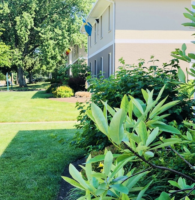 Terrenos - Double Tree Apartments