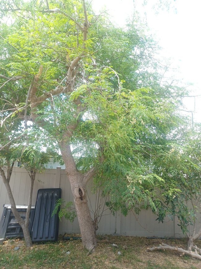 Foto del edificio - 4233 SE 8th Pl