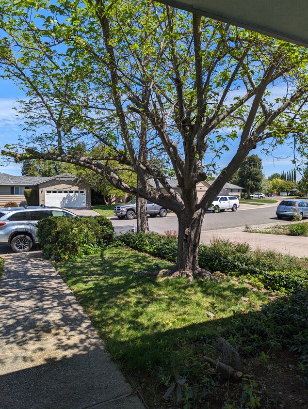 Primary Photo - 3702 Atwater Rd