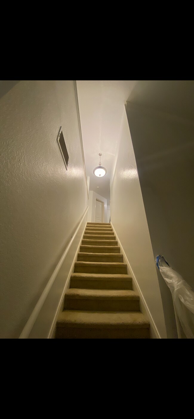 Escaleras - 325 Jordan Cove