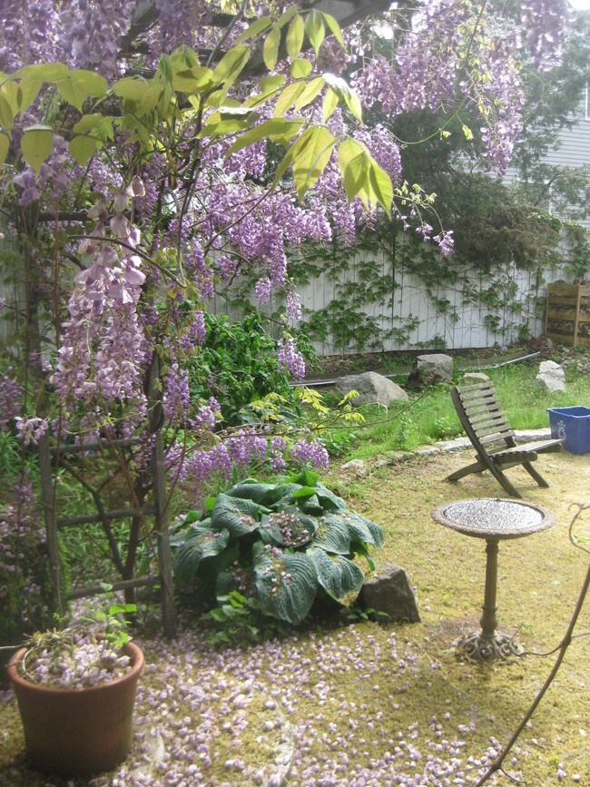 Foto del edificio - 56 Washington St