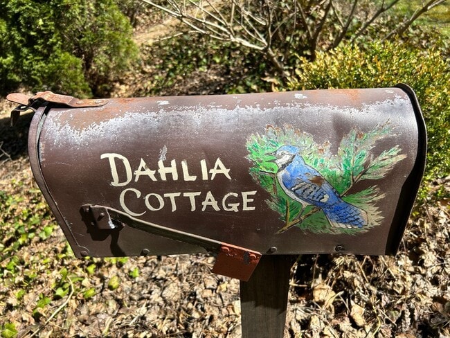 Foto del edificio - North AVL -  Renovated Arts & Crafts Cottage