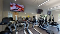 This fitness center is designed to support a comprehensive workout experience, thoughtfully organized into distinct functional zones across a single level. The main cardio area features a row of Promaxima treadmills positioned in front of large windows that provide natural light and outdoor views, paired with wall-mounted flat-screen TVs for entertainment during workouts. Full-length mirrors line the walls, visually expanding the space and allowing users to monitor their form.

The strength training zone is well-stocked with Promaxima ellipticals, rowing machines, and a multi-station cable machine, all arranged to allow comfortable movement between equipment. A dedicated free weights area offers a complete dumbbell rack ranging across multiple weight increments, neatly organized for easy access. Functional training accessories include stability balls in assorted sizes, medicine balls, resistance bands, and foam rollers displayed on a dedicated storage rack.

Rubber flooring throughout provides durability and safety, while bright linear LED lighting ensures the space is well-illuminated. The facility also includes a water cooler and waste receptacles for convenience. The overall design is clean, modern, and practical, creating an inviting environment well-suited for a full range of fitness activities.