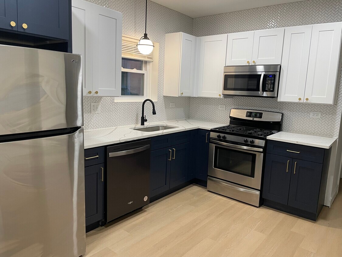 Brand new kitchen cabinets - 1017 N Harlem Ave