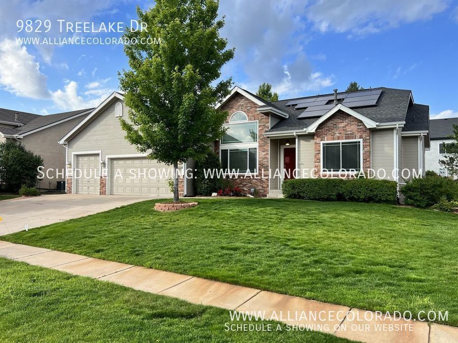 9829 Treelake Dr House for Rent in Colorado Springs, CO