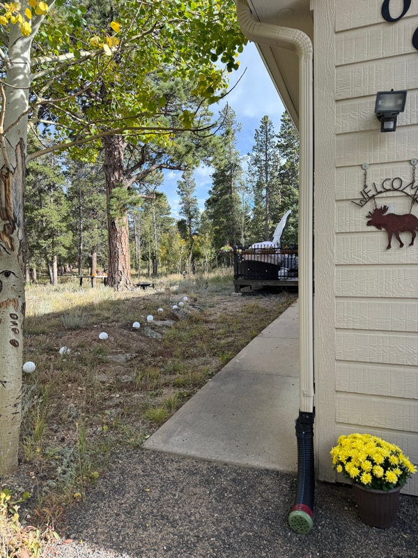 Photo - 206 E Dory Dr House