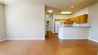 Located at 400 E Glade Rd in Grapevine, TX, this one-bedroom, one-bathroom residence offers a well-organized single-floor layout designed for comfortable everyday living. The entry opens into a bright living area featuring warm wood-look flooring and large windows fitted with blinds that allow generous natural light to fill the space. Neutral wall tones throughout lend a clean, welcoming ambiance.

The kitchen is positioned adjacent to the living area and features warm honey-toned cabinetry, granite-look countertops, a breakfast peninsula, white appliances including a refrigerator and range, and a built-in desk or shelf area — making it both functional and practical. Recessed and skylight-style ceiling fixtures provide ample illumination.

The bedroom is a comfortable, well-proportioned room with plush carpeting, natural light streaming through a window with blinds, and a set of double doors opening to a spacious walk-in closet with shelving.

The bathroom is notably designed for accessibility, featuring a roll-in tile shower with a fold-down bench seat, grab bars, a handheld showerhead, and a clean mosaic tile floor — offering both safety and ease of use. A hallway with additional storage completes the layout of this thoughtfully designed Grapevine residence.