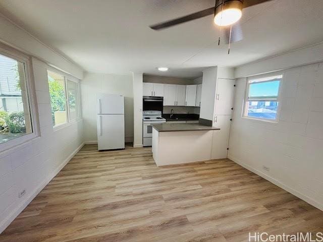 Building Photo - 1519 Alapai St