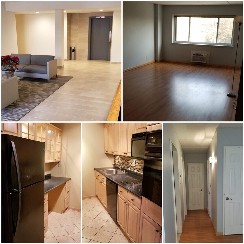 Available March 1st. 1 BR + Den (can be home office or guest room) - 412 Benedict Ave
