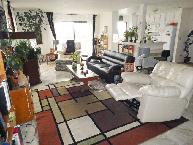 Living room - 822 Viva Ct