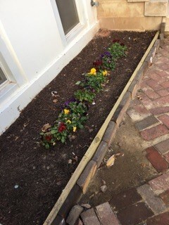 Front Garden Space - 1806 W Baltimore St