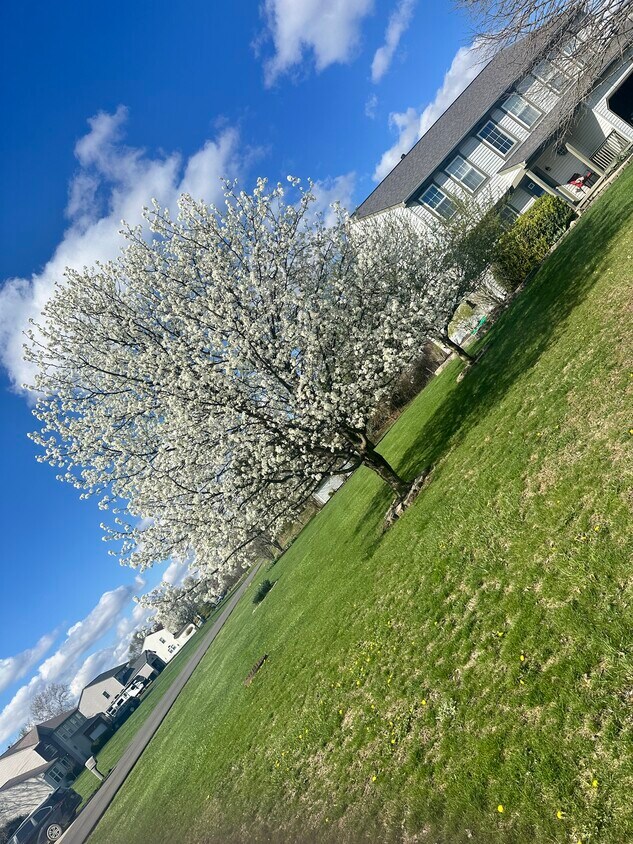 Foto del edificio - 2615 Lincolnshire Dr