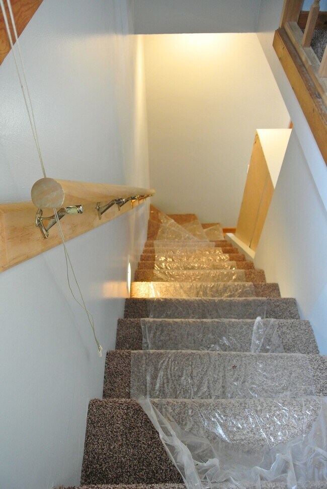 Alfombra nueva en las escaleras y en el dormitorio de la planta superior. - 1104 West Taylor Street