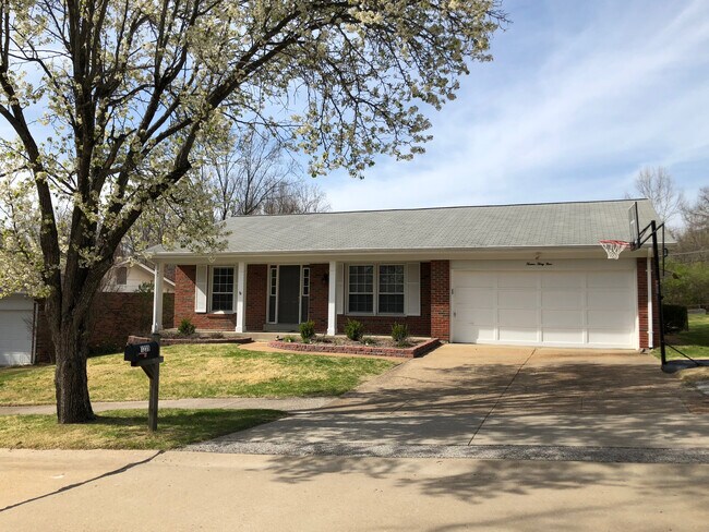 Building Photo - 1239 Dorne Dr